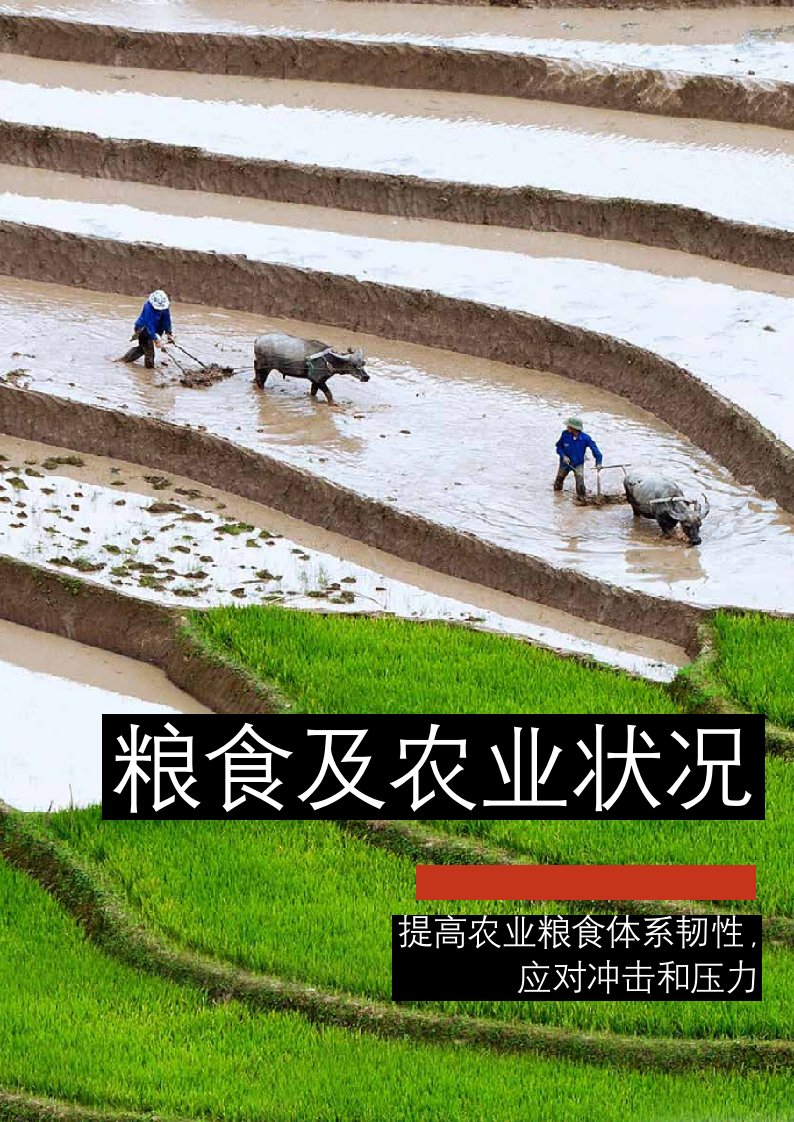 2021年粮食及农业状况：提高农业粮食体系韧性，应对冲击和压力