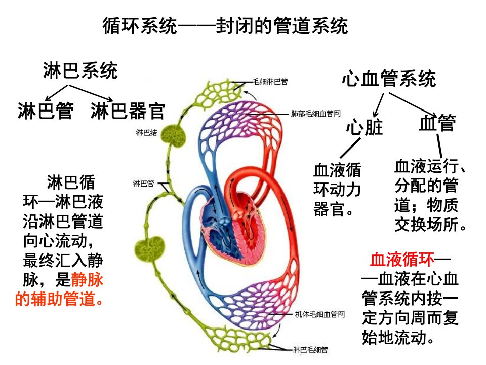 护理本科循环三版