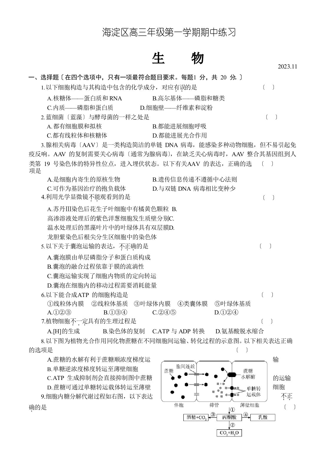 北京市海淀区2023年届高三上学期期中考试生物试卷(含答案)