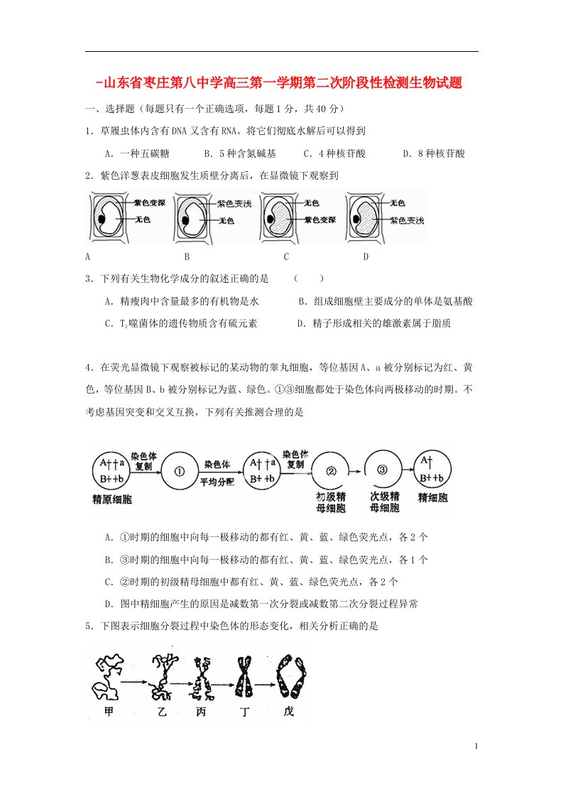 山东省枣庄第八中学高三生物上学期第二次阶段性检测试题