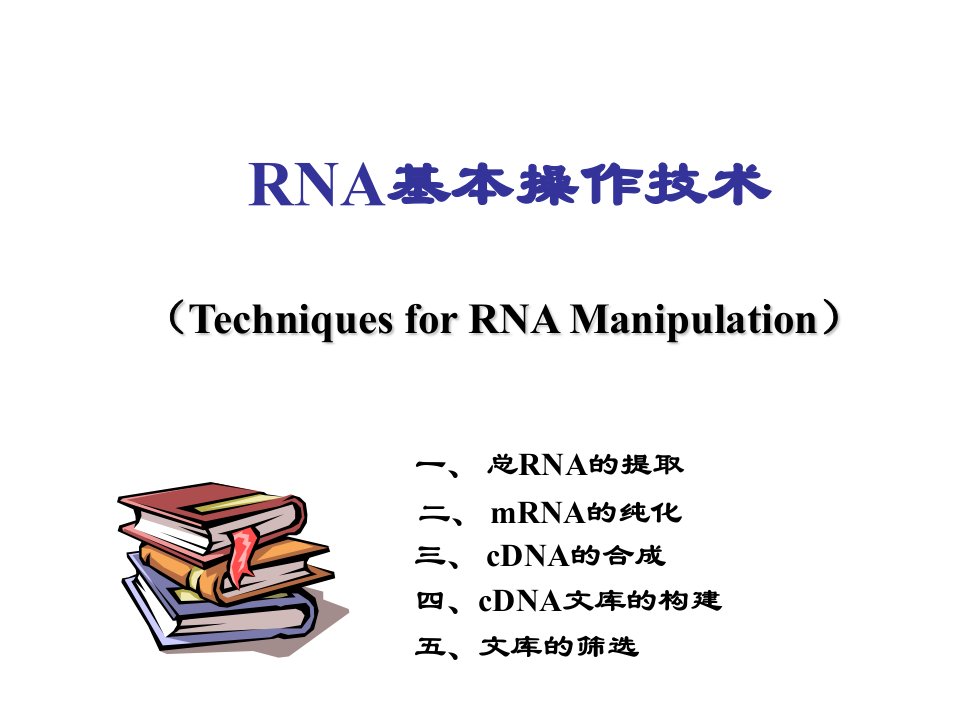 RNA基本操作技术ppt课件