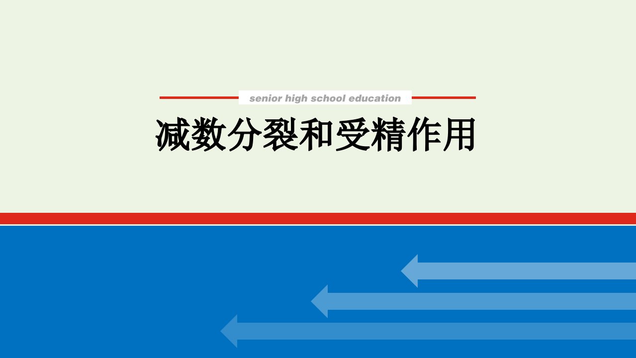 2022届高考生物一轮复习第四单元细胞的生命历程2减数分裂和受精作用课件新人教版必修1