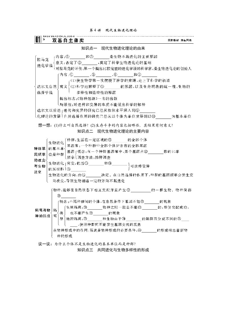 高中生物第4讲现代生物进化理论