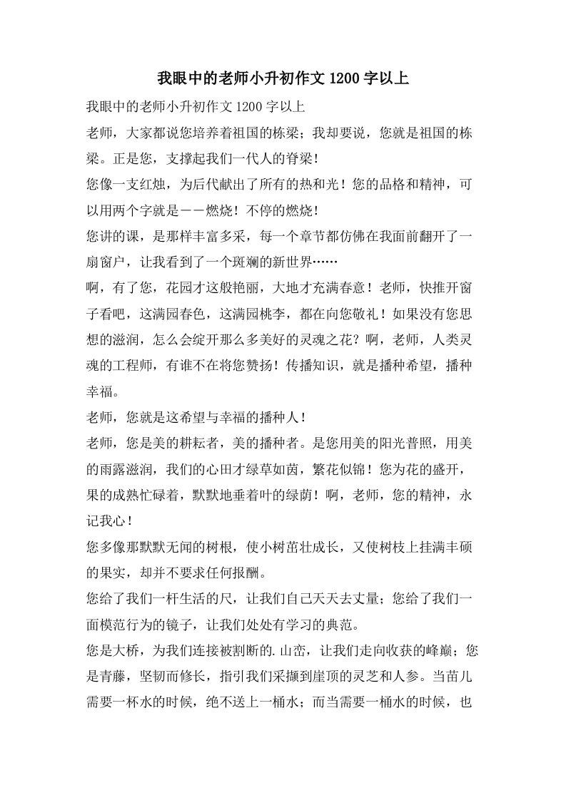 我眼中的老师小升初作文1200字以上