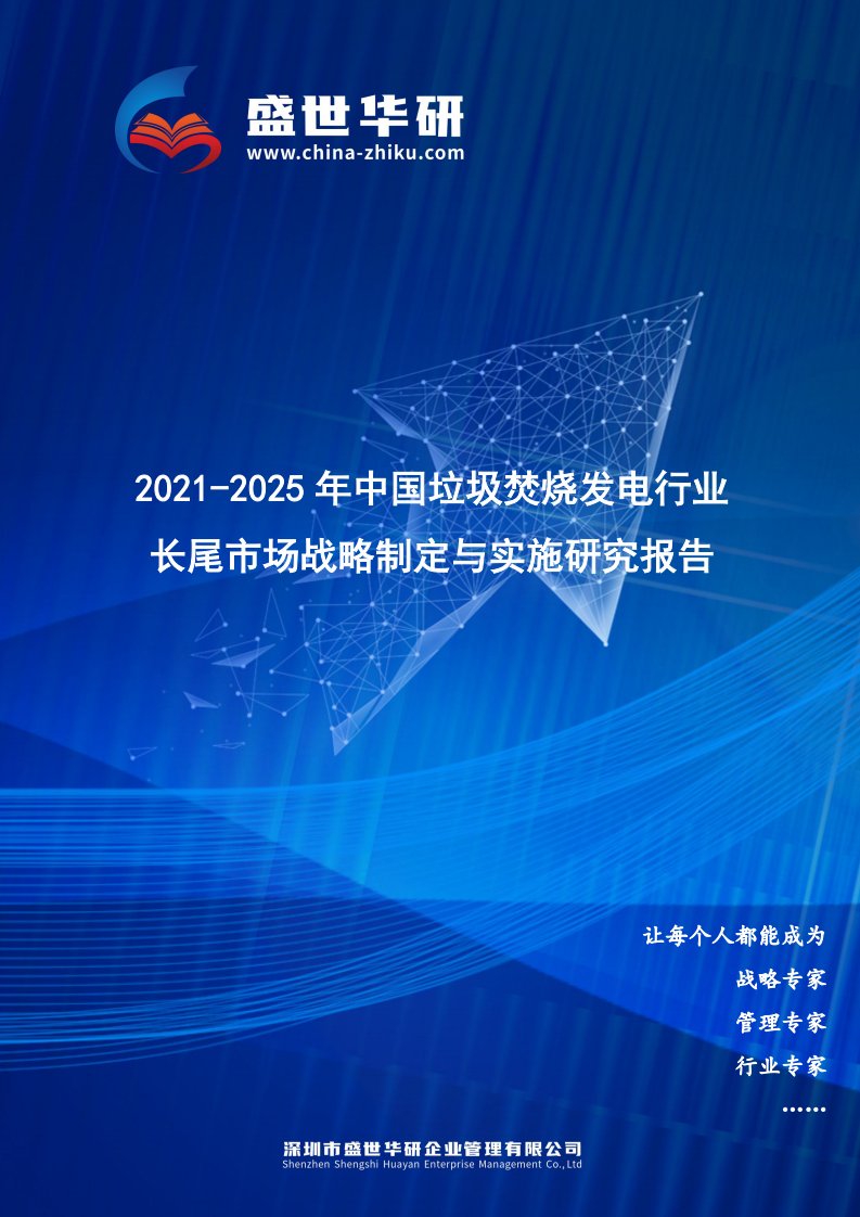 2021-2025年中国垃圾焚烧发电行业长尾市场战略制定与实施研究报告