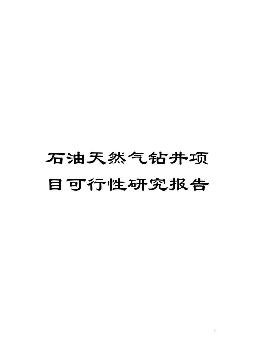 石油天然气钻井项目可行性研究报告模板