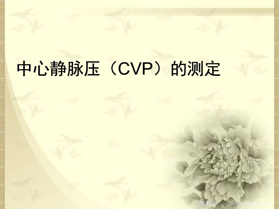 中心静脉压CVP的测定