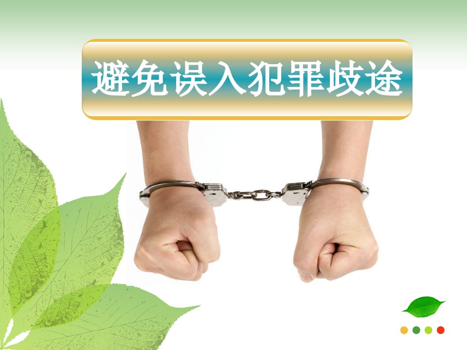 《职业道德与法律》第十课避免误入犯罪歧途