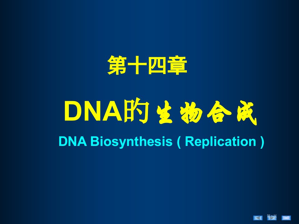 dna的生物合成专题知识讲座省名师优质课赛课获奖课件市赛课百校联赛优质课一等奖课件