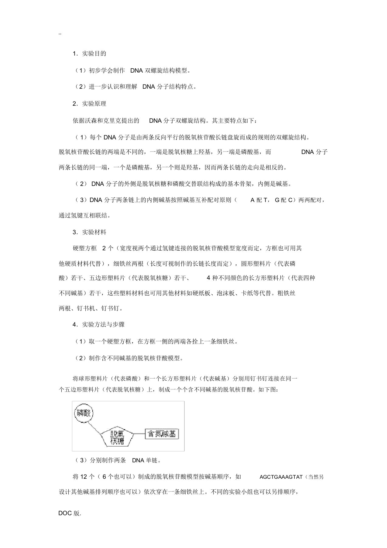 制作DNA双螺旋结构模型