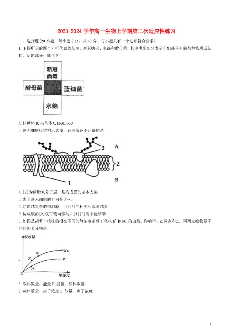 福建省厦门市2023_2024学年高一生物上学期12月月考试题