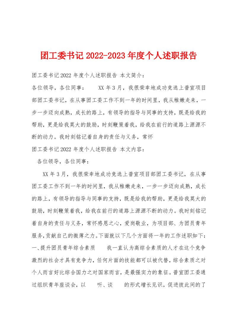 团工委书记2022-2023年度个人述职报告