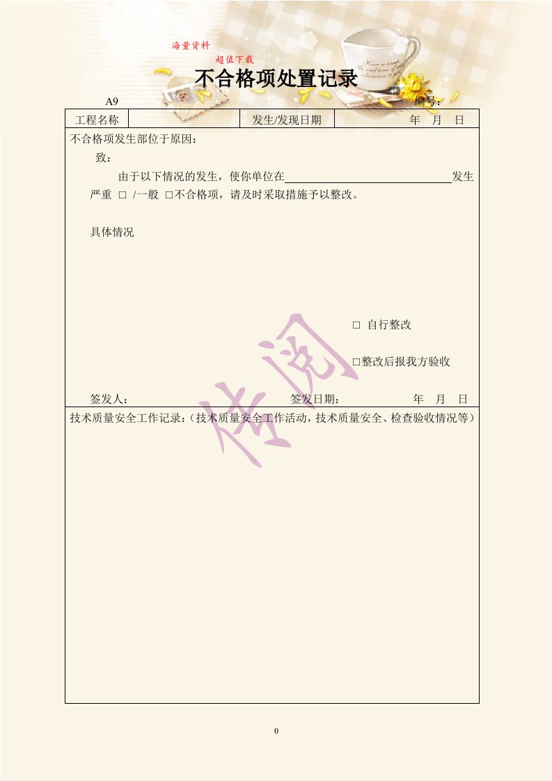 不合格项处置记录(1)