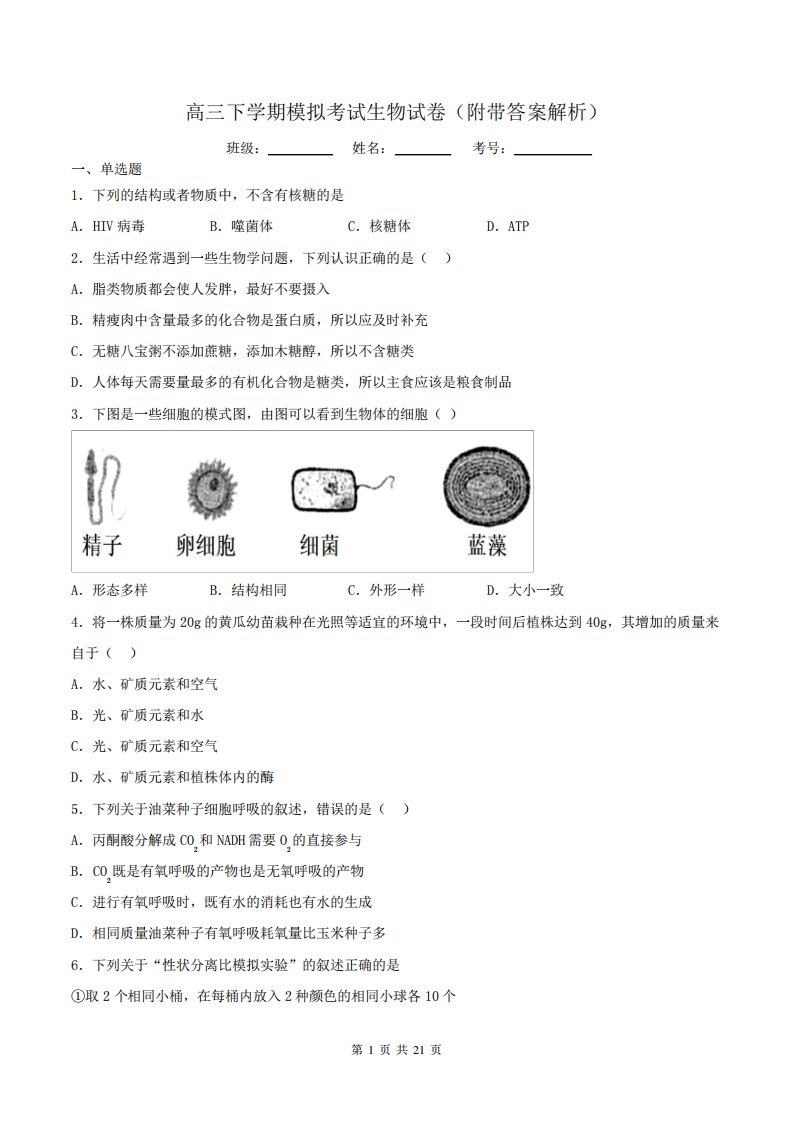 高三下学期模拟考试生物试卷(附带答案解析)