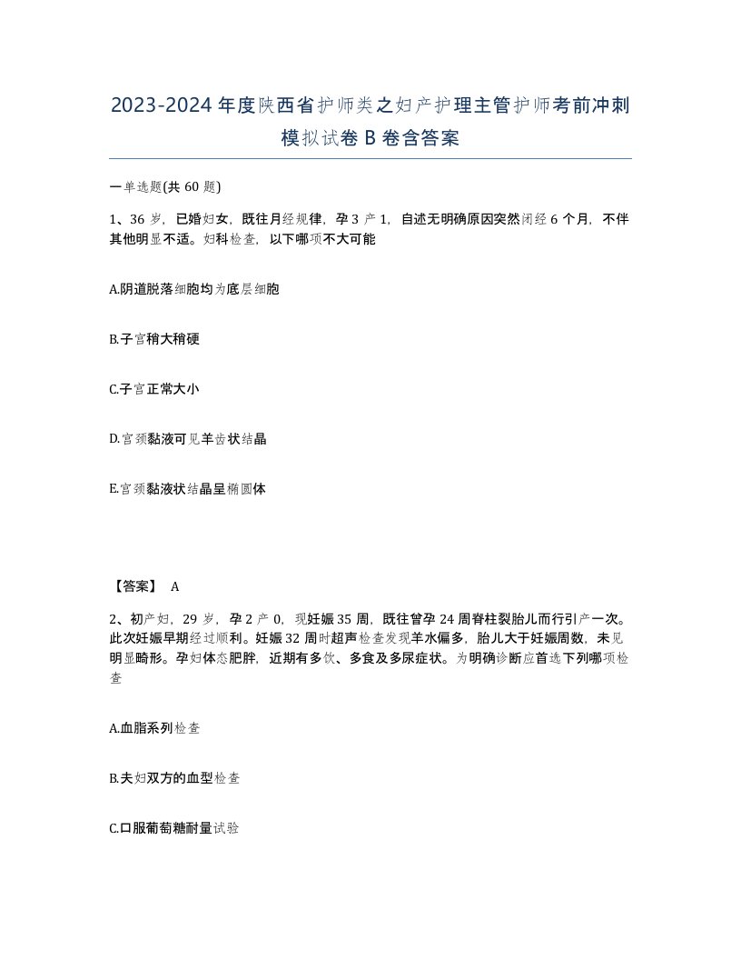 2023-2024年度陕西省护师类之妇产护理主管护师考前冲刺模拟试卷B卷含答案