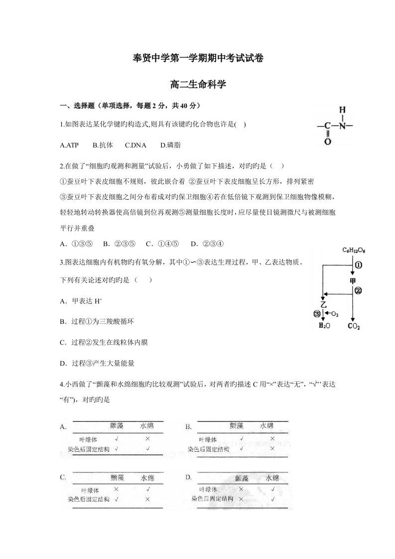 上海市奉贤中学高二生命科学第一学期期中考试试卷有答案