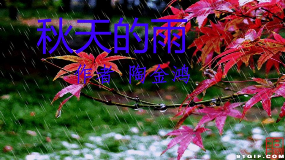 6秋天的雨