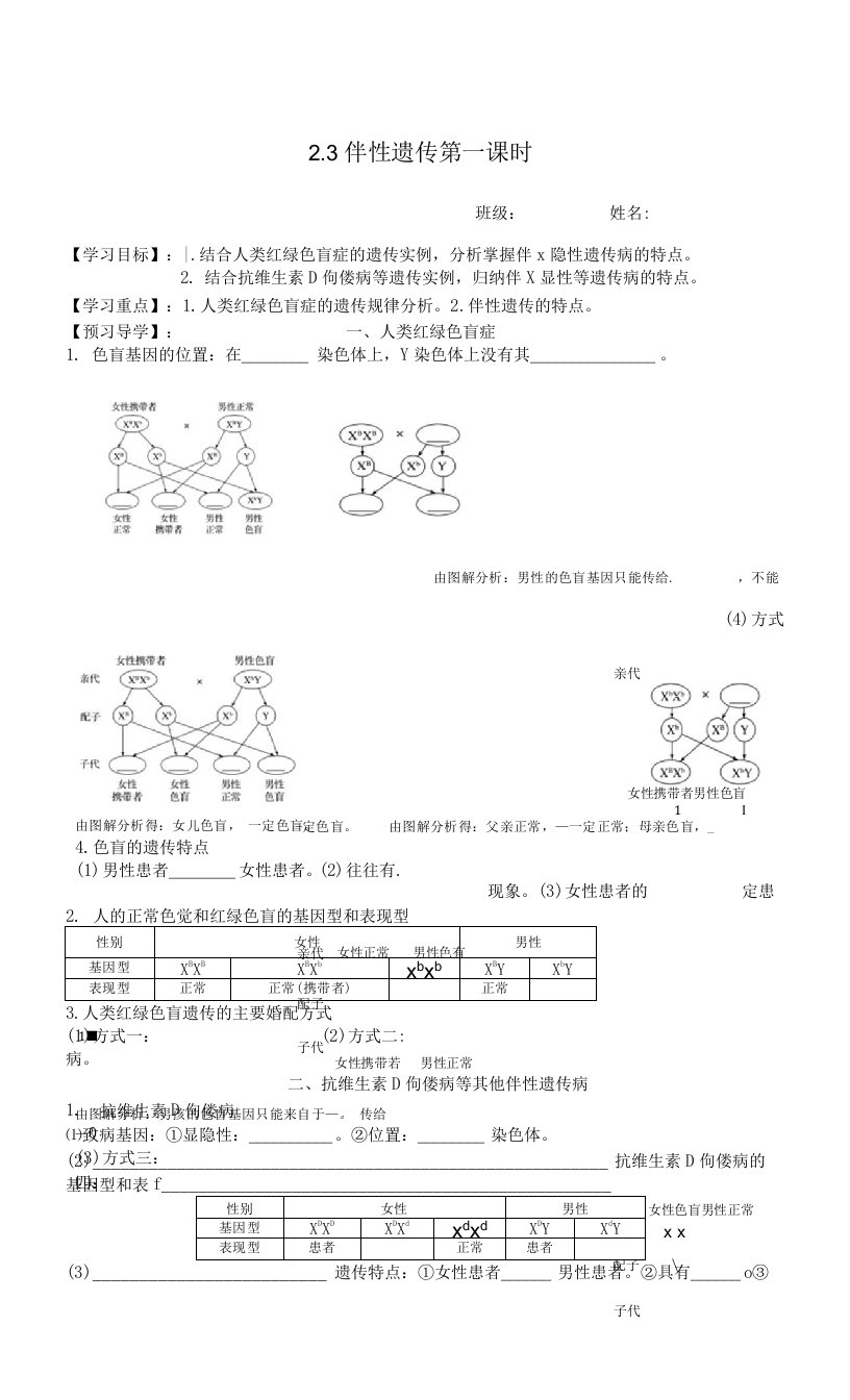 伴性遗传