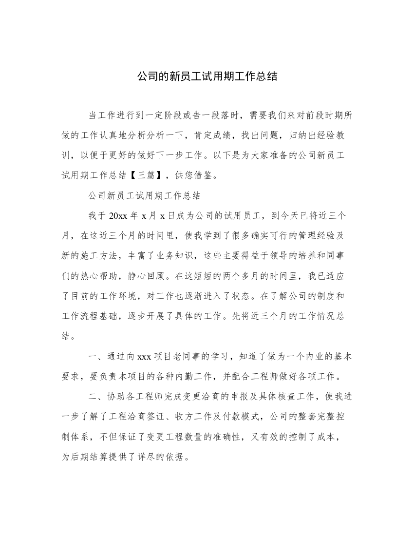 公司的新员工试用期工作总结