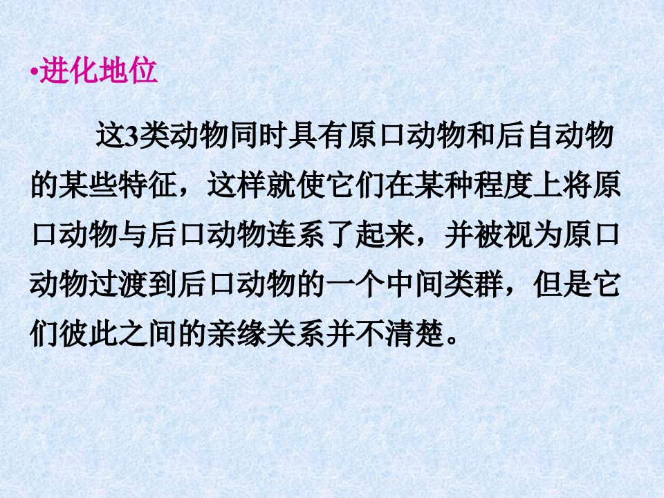 第十一二章棘皮动物门ppt课件