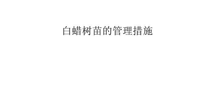 白蜡树苗的管理措施