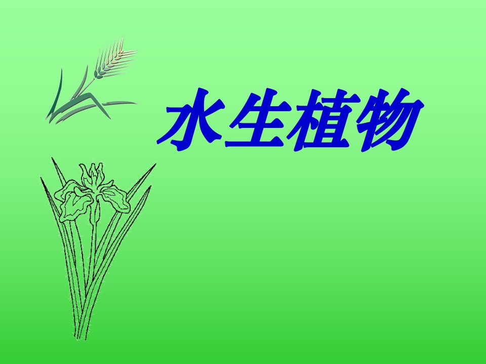 《水生植物》植物PPT课件4