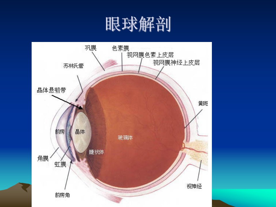 白内障讲课ppt课件