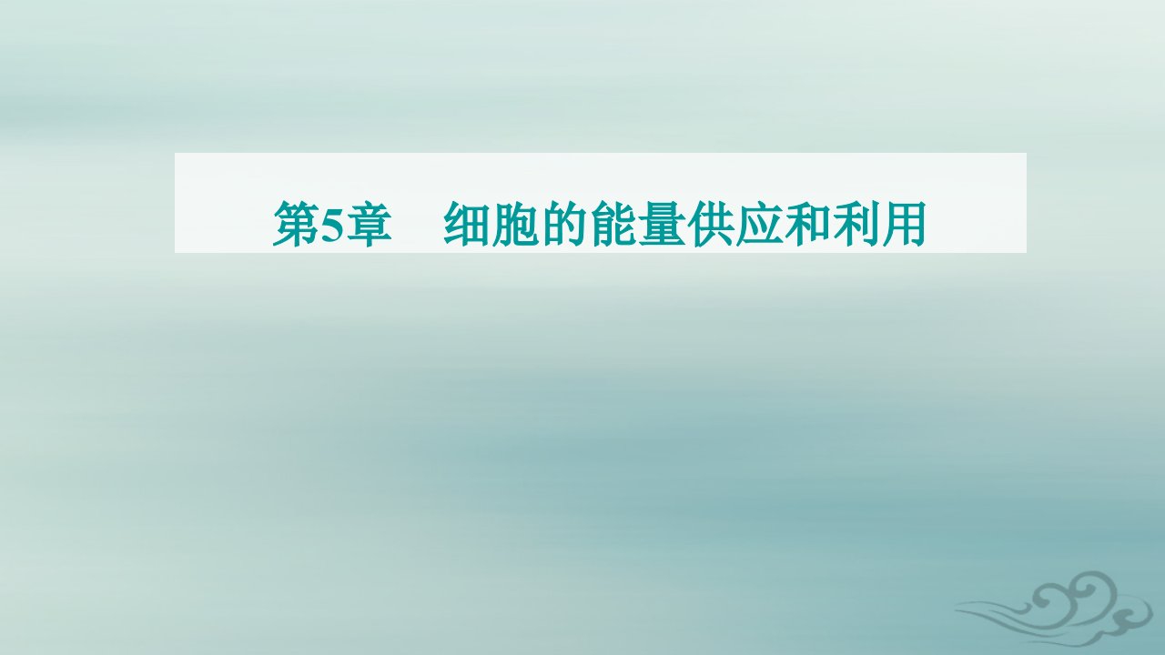 2023_2024学年新教材高中生物第5章细胞的能量供应和利用第3节细胞呼吸的原理和应用第2课时无氧呼吸及细胞呼吸原理的应用课件新人教版必修1