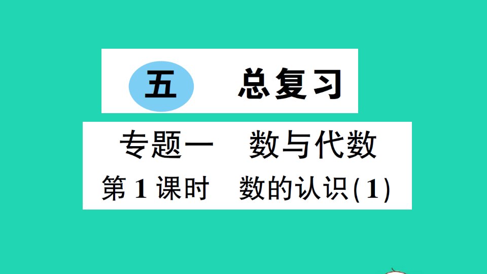 六年级数学下册五总复习专题一数与代数第1课时数的认识1作业课件西师大版