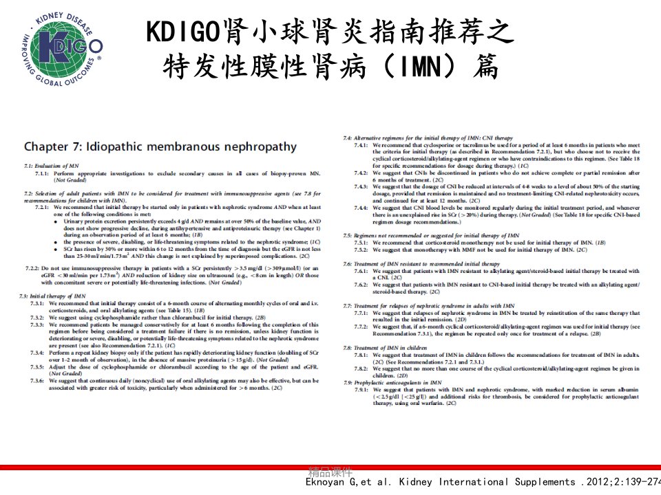 膜性肾病治疗指南完整版本ppt课件