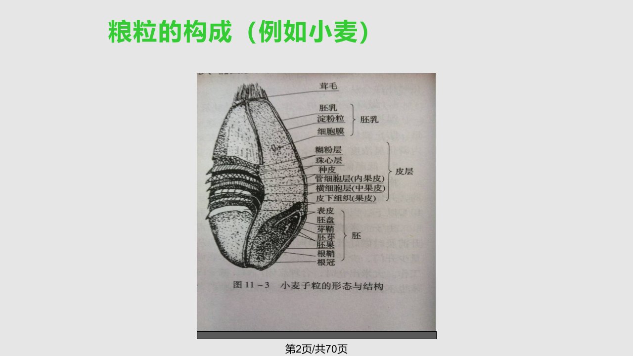 粮食仓储技术培训四