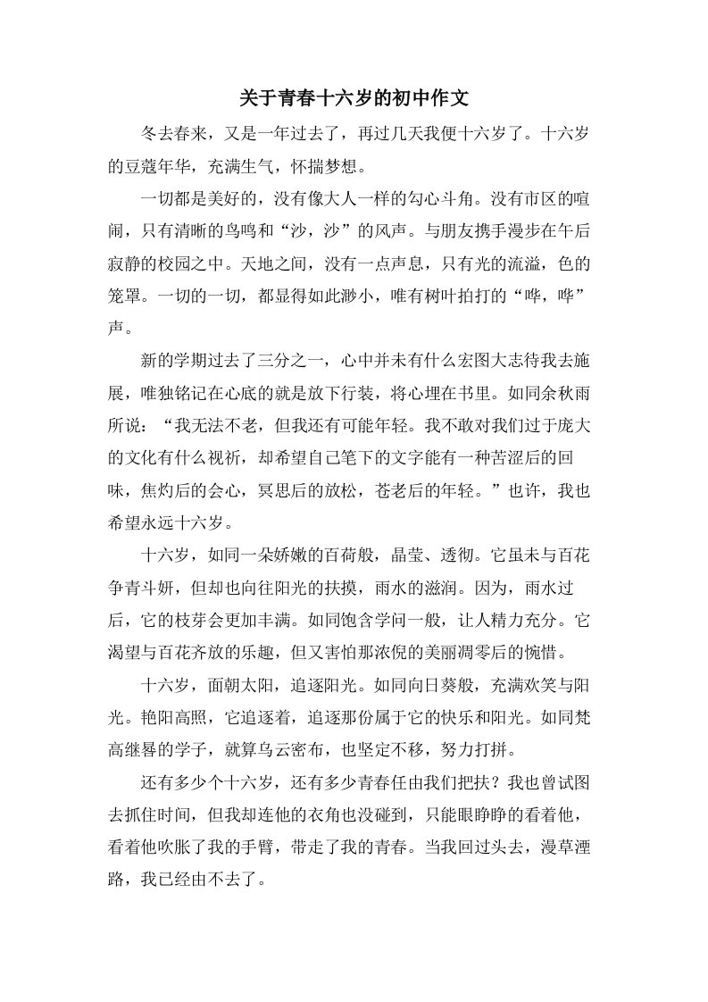 关于青春十六岁的初中作文