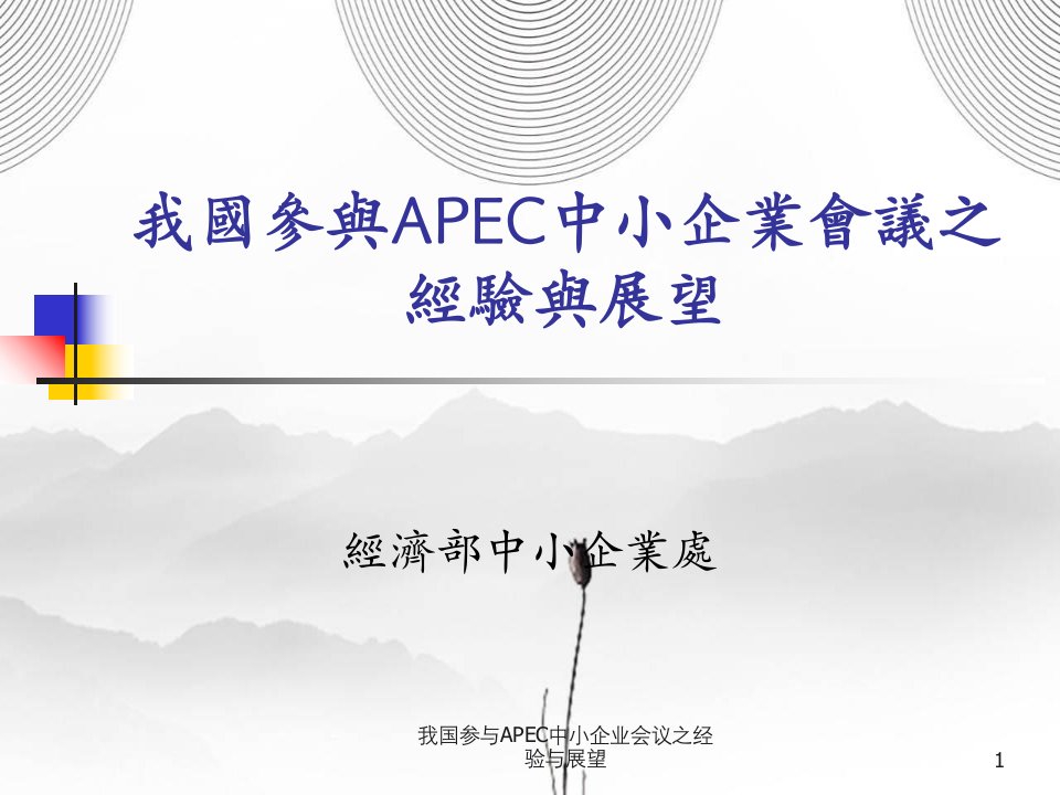 我国参与APEC中小企业会议之经验与展望