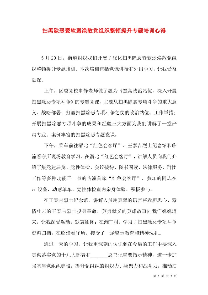 扫黑除恶暨软弱涣散党组织整顿提升专题培训心得