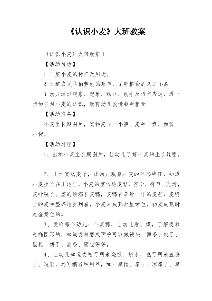 《认识小麦》大班教案