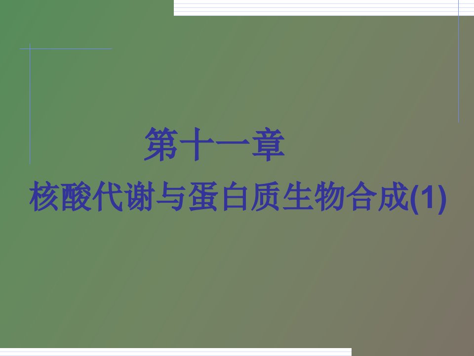 生物化学核酸代谢与蛋白质生物合成