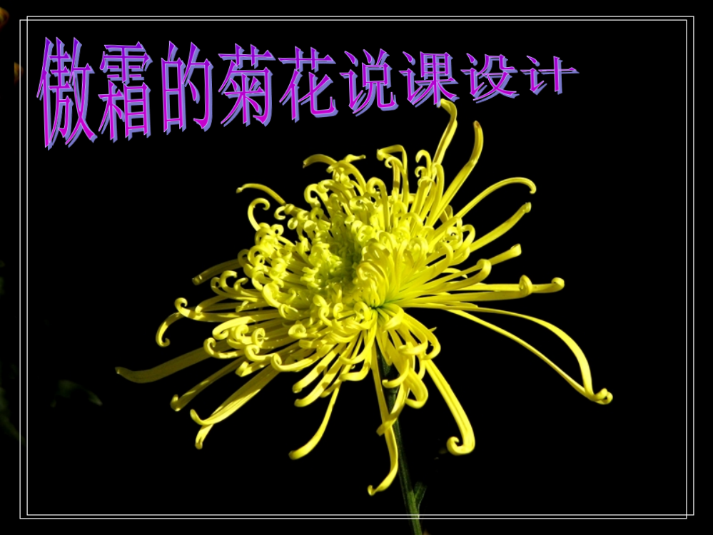 小学美术傲霜的菊花