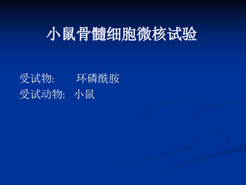 中山毒理课件微核试验和染色体畸变