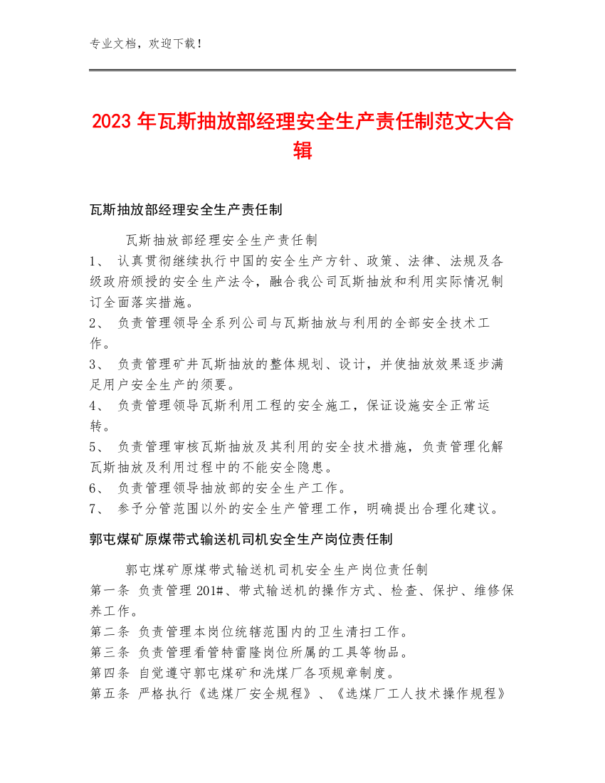 2023年瓦斯抽放部经理安全生产责任制范文大合辑