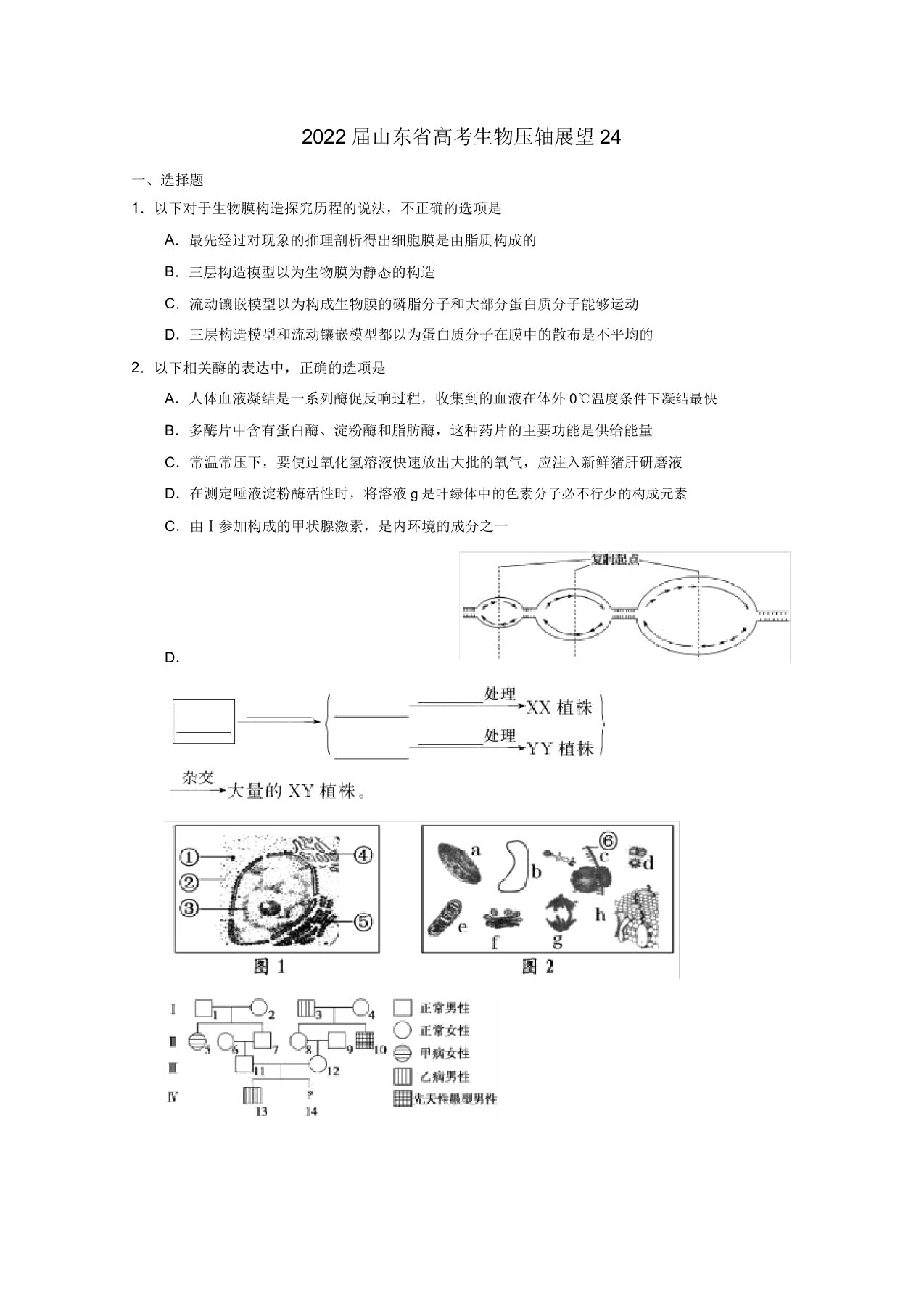 山东省2022高三生物预测模拟押题24