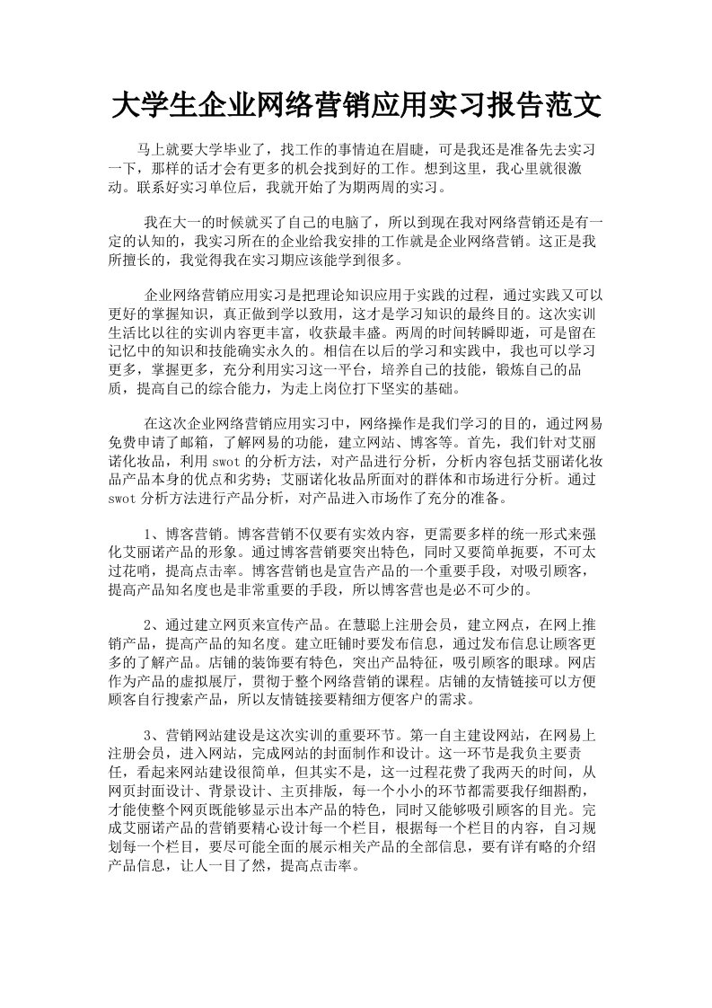 大学生企业网络营销应用实习报告范文