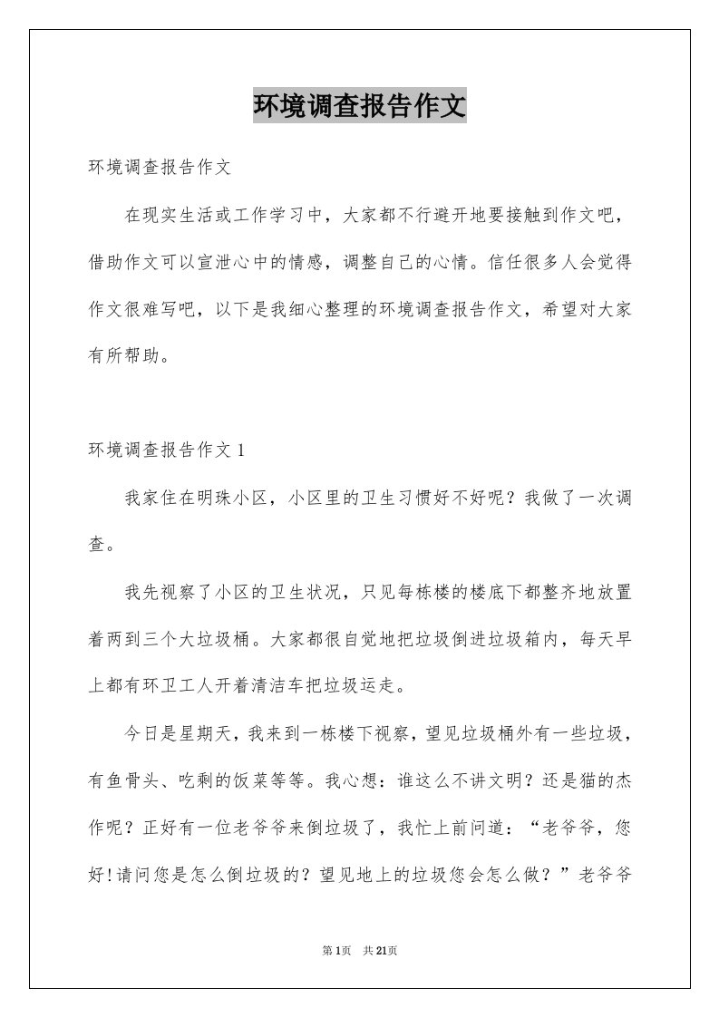 环境调查报告作文汇编