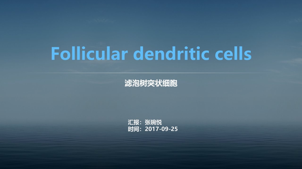 滤泡树突状细胞(FDC)专题汇报