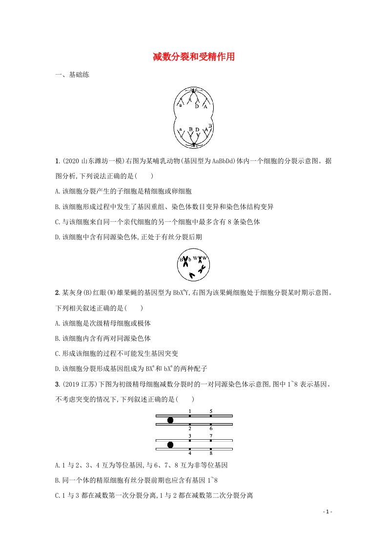 2022高考生物一轮复习课时练13减数分裂和受精作用含解析新人教版