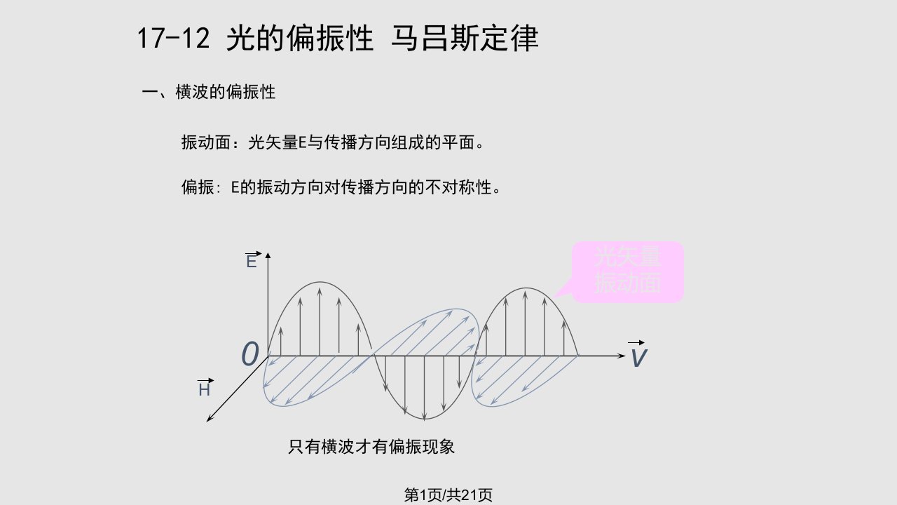 175光的偏振PPT教学课件