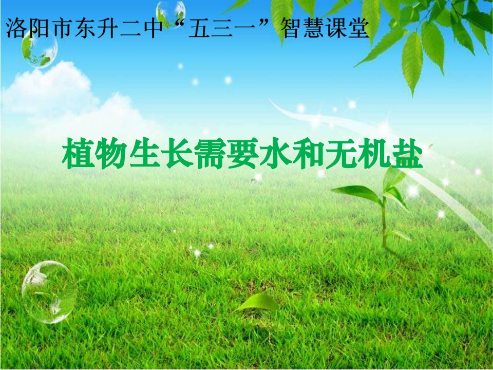 苏教版初中生物七年级上册第3单元-第5章-第三节-植物生长需要水和无机盐-ppt课件