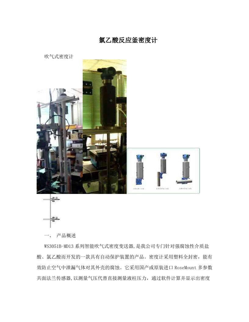 氯乙酸反应釜密度计