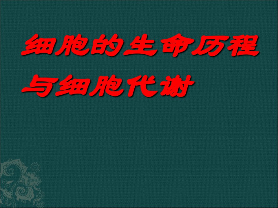 细胞的增殖与分化