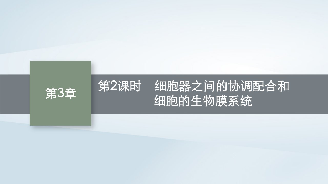 2022_2023学年新教材高中生物第3章细胞的基本结构第2节细胞器之间的分工合作第2课时细胞器之间的协调配合和细胞的生物膜系统课件新人教版必修1