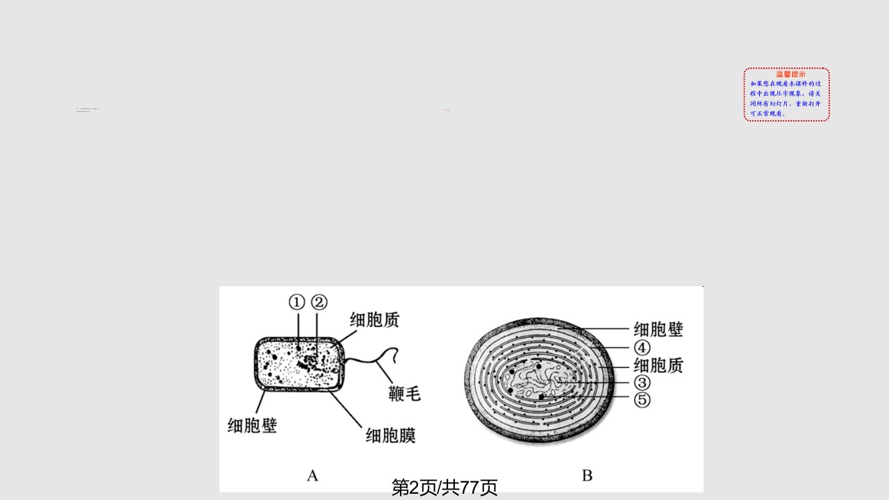 走进细胞第一轮复习